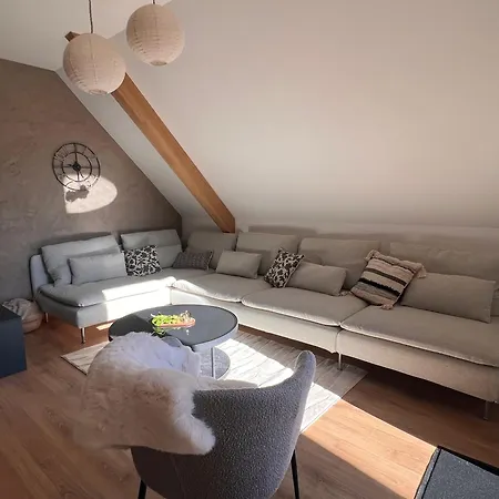 La Barrique Grand Duplex Pmr Vue Vosges & Vignobles 8 Pers Apartment