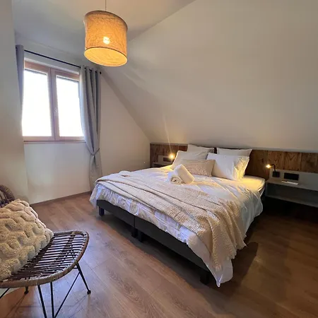 Apartment La Barrique Grand Duplex Pmr Vue Vosges & Vignobles 8 Pers Bergheim