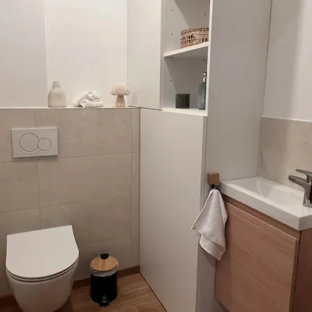 Apartment La Barrique Grand Duplex Pmr Vue Vosges & Vignobles 8 Pers