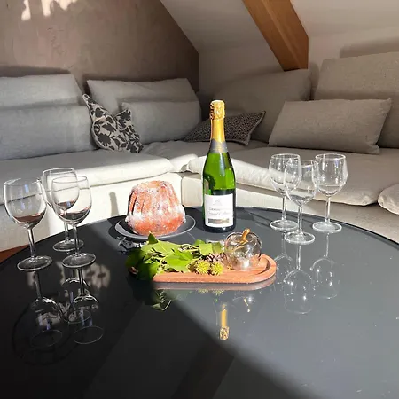 Apartment La Barrique Grand Duplex Pmr Vue Vosges & Vignobles 8 Pers Bergheim