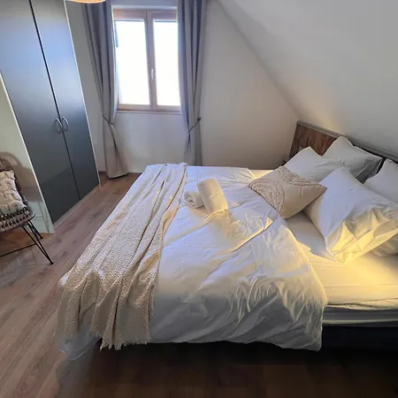 Apartment La Barrique Grand Duplex Pmr Vue Vosges & Vignobles 8 Pers