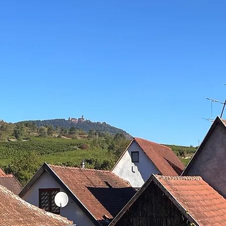 Apartment La Barrique Grand Duplex Pmr Vue Vosges & Vignobles 8 Pers *