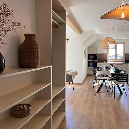 Apartment La Barrique Grand Duplex Pmr Vue Vosges & Vignobles 8 Pers