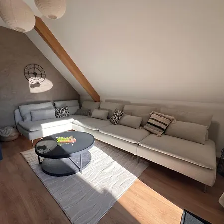 Apartment La Barrique Grand Duplex Pmr Vue Vosges & Vignobles 8 Pers