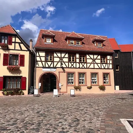 Apartment La Barrique Grand Duplex Pmr Vue Vosges & Vignobles 8 Pers Bergheim