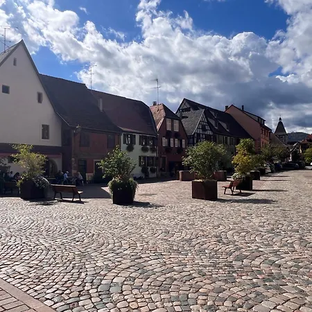 La Barrique Grand Duplex Pmr Vue Vosges & Vignobles 8 Pers Apartment Bergheim