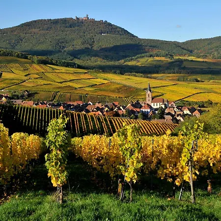 La Barrique Grand Duplex Pmr Vue Vosges & Vignobles 8 Pers *